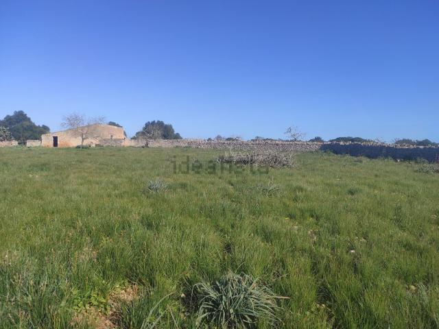 Terreno en venta en Pla de Mallorca, Baleares
