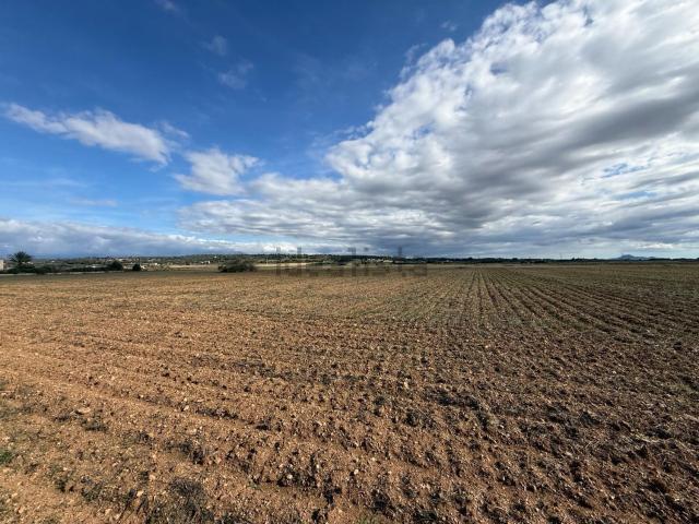 Terreno en venta en Petra, Illes Balears