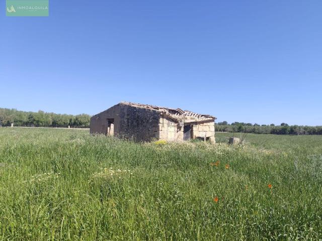 Terreno en venta en Pla de Mallorca, Baleares