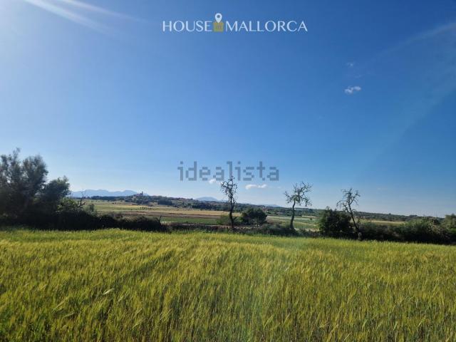 Terreno en venta en Pla de Mallorca, Baleares