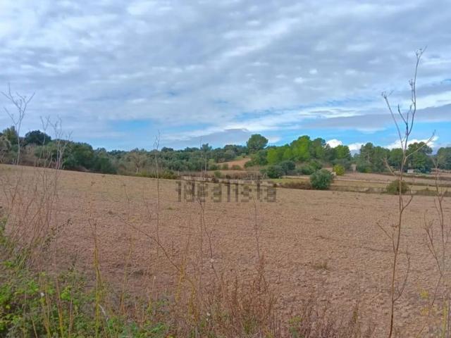 Terreno en venta en Pla de Mallorca, Baleares