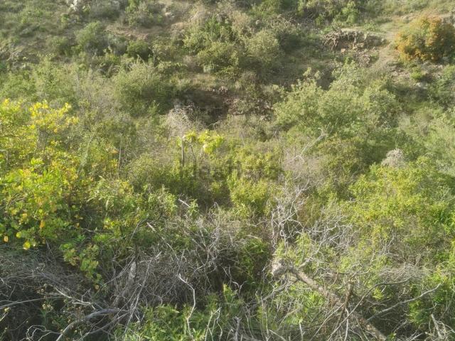 Terreno en venta en Arico Viejo, Arico