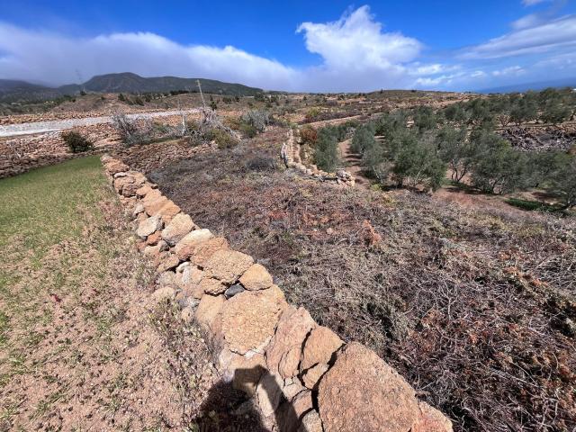 Terreno en venta en Arico Viejo, Arico
