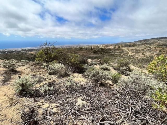 Terreno en venta en Granadilla de Abona, Canarias