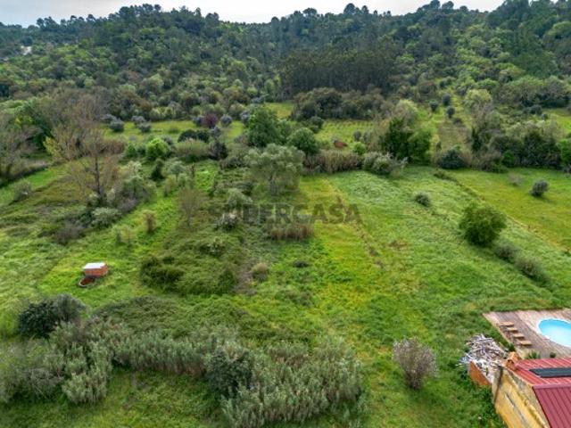 Terreno venda em Santarém