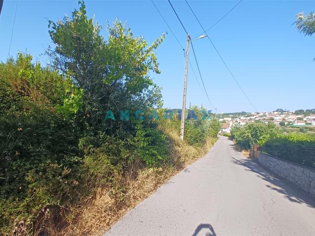 Terreno venda em Leiria