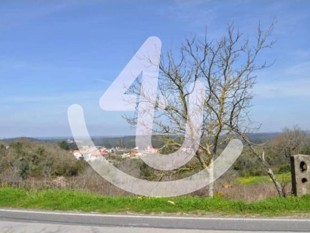 Terreno venda em Leiria