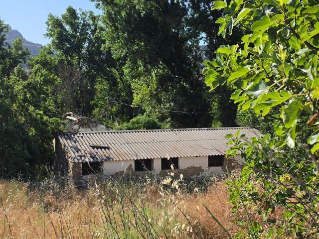 Terreno en venta en Urbanización El olivar, Serranía de Ronda