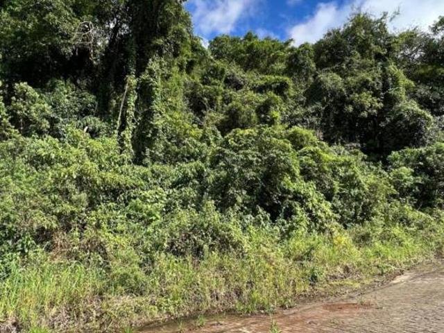 Terreno venda em Centro, Vale Real