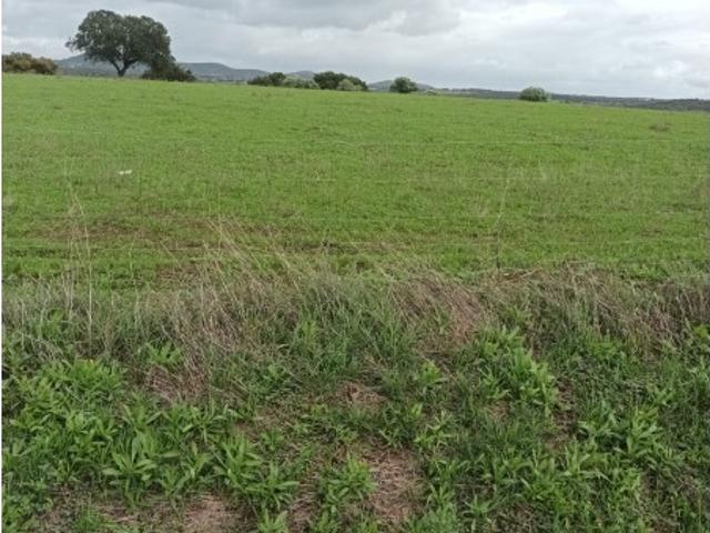 Terreno venda em Arronches, Portalegre