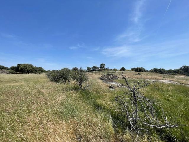 Terreno en venta en Arroyo De La Luz, Extremadura
