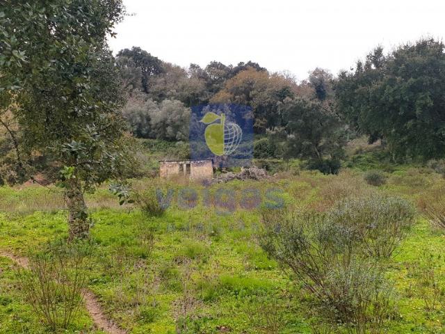 Terreno venda em A-Do-Barriga, Arruda Dos Vinhos
