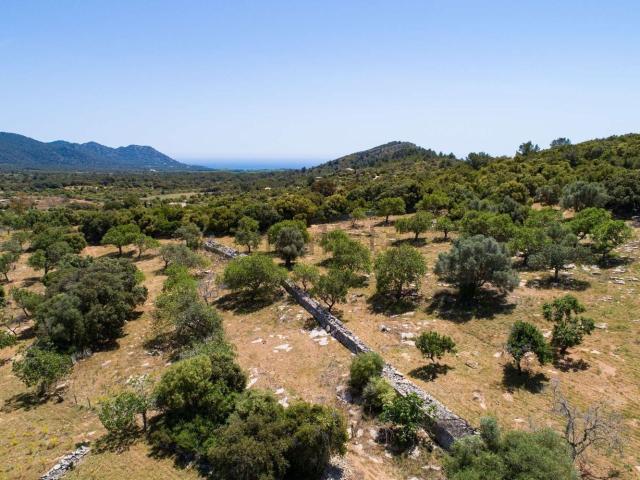 Terreno en venta en Llevant, Baleares