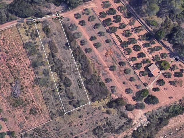 Terreno en venta en la Plana Baixa, Valencia