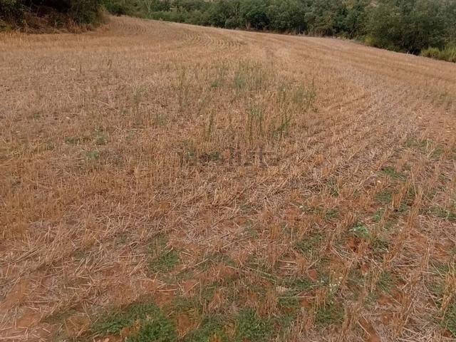 Terreno en venta en Noguera, Catalunya