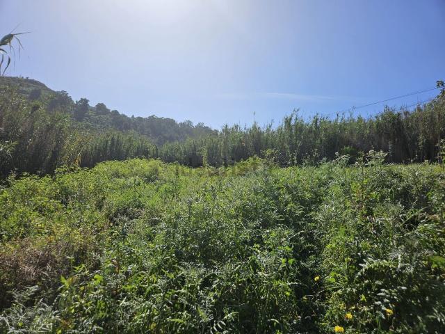 Terreno en venta en Arucas, Canarias