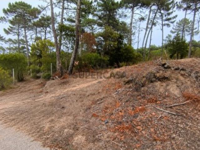 Terreno venda em Quinta do Castanheiro, Sintra