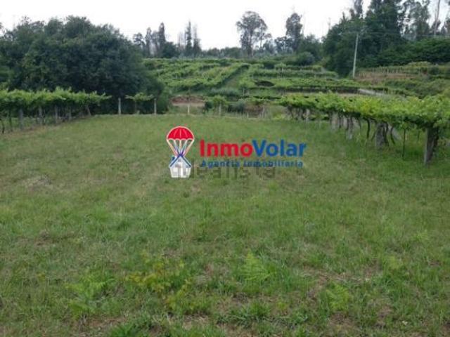 Terreno en venta en Salvaterra de Miño, O Condado