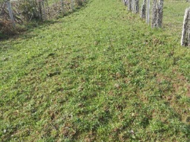 Terreno en venta en As Neves, O Condado