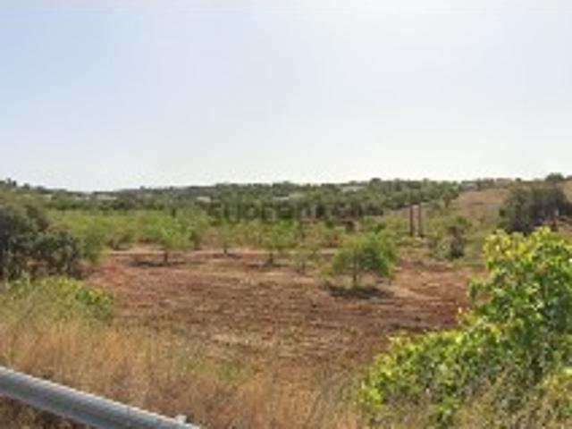 Terreno venda em Parrela, Loulé