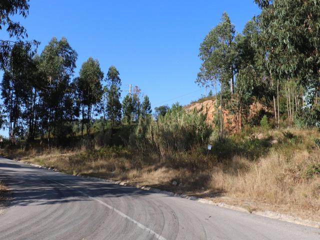 Terreno venda em Pombal, Leiria