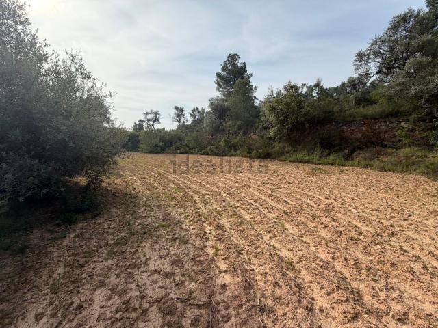 Terreno en venta en Ribera d'Ebre, Catalunya