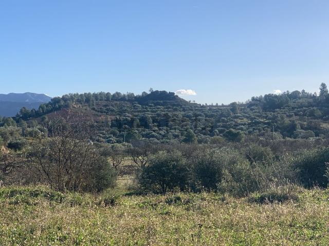 Terreno en venta en Ascó, Tarragona