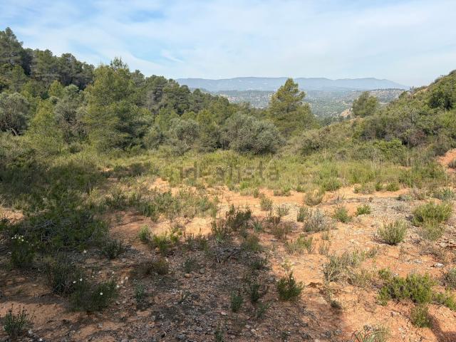 Terreno en venta en Ribera d'Ebre, Catalunya
