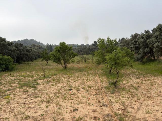 Terreno en venta en Ribera d'Ebre, Catalunya