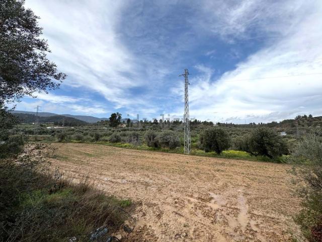 Terreno en venta en Ribera d'Ebre, Catalunya