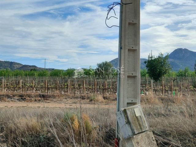 Terreno en venta en el Vinalopó Mitjà / El Vinalopó Medio, Valencia