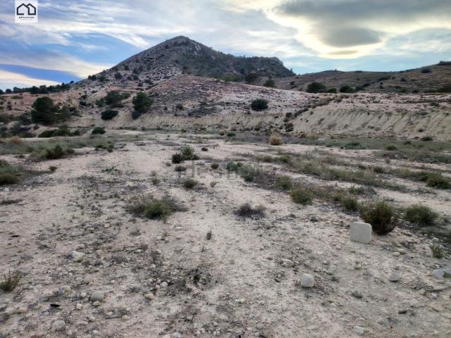 Terreno en alquiler en el Vinalopó Mitjà / El Vinalopó Medio, Valencia