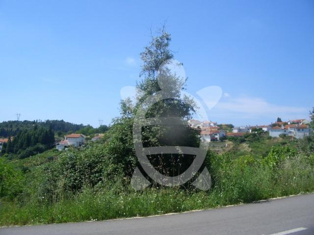 Terreno venda em Coimbrã, Antanhol