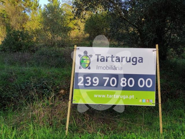 Terreno venda em Coimbrã, Antanhol