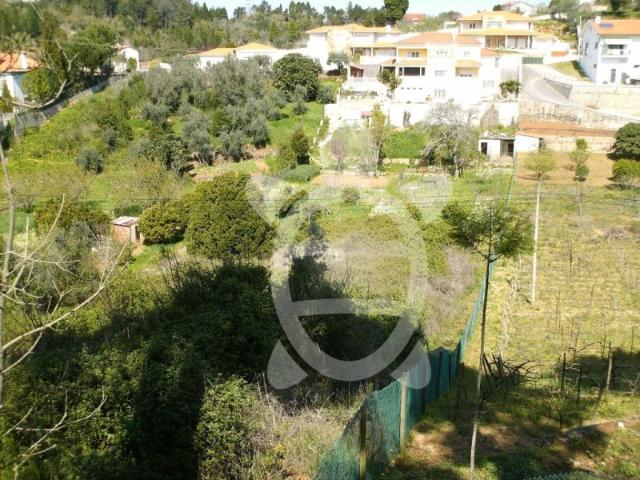 Terreno venda em Coimbrã, Antanhol