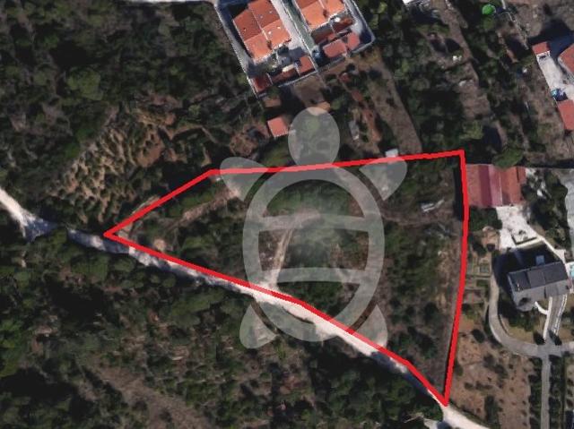 Terreno venda em Coimbrã, Antanhol