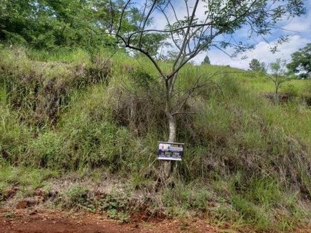 Terreno venda em Região Geográfica Imediata de Cataguases, Astolfo Dutra