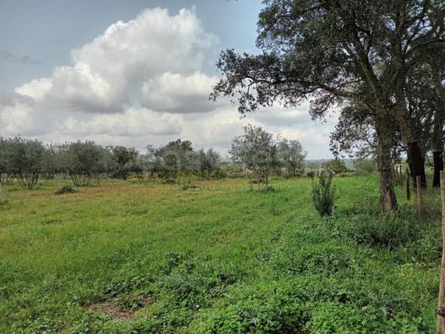 Terreno venda em Bairro da Mosca, Montijo