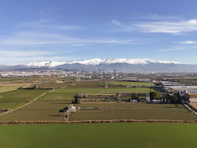 Terreno en venta en Comarca de la Vega de Granada, Andalucía