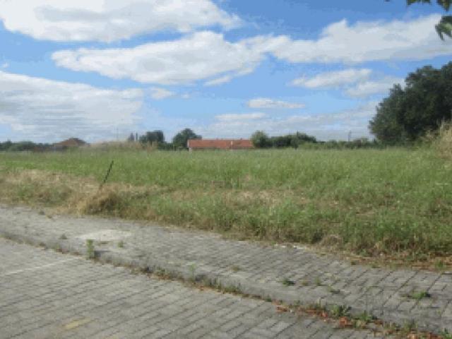 Terreno venda em Coimbrã, Ameal