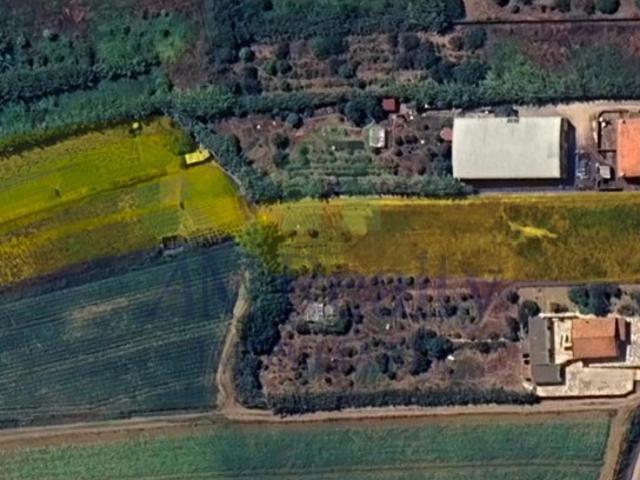 Terreno venda em Peniche, Leiria
