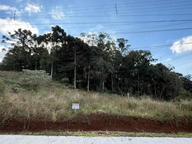Terreno venda em Carlos Barbosa