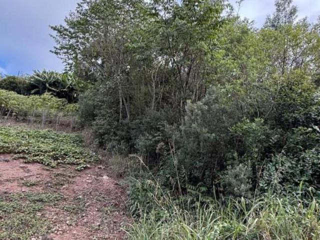 Terreno venda em Carlos Barbosa