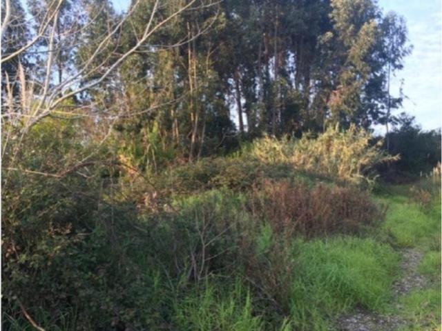 Terreno venda em Quinta do Casal, Aveiro