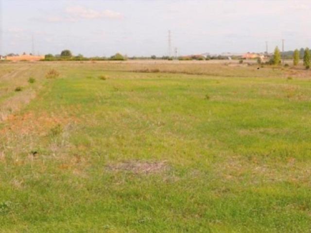 Terreno venda em Lagoa de Esgueira, Aveiro
