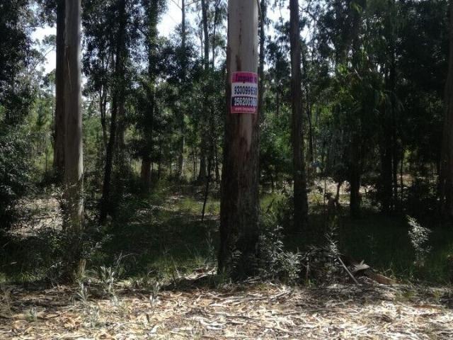 Terreno venda em Estarreja, Aveiro