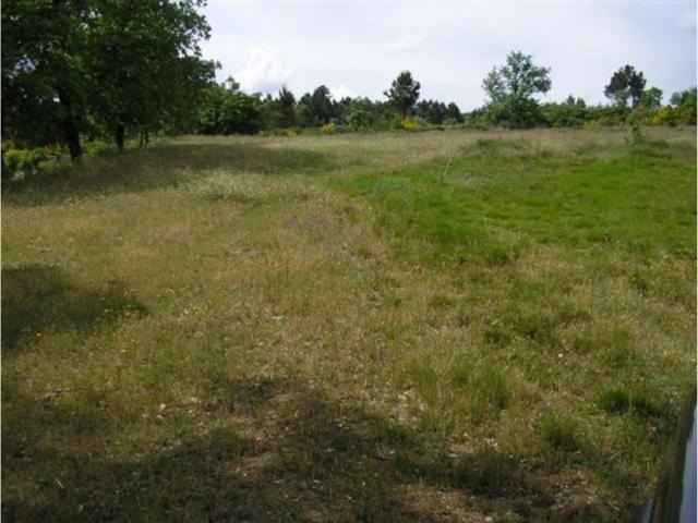 Terreno venda em Aveiro