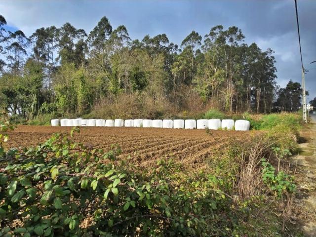Terreno venda em Vila Do Conde, Porto