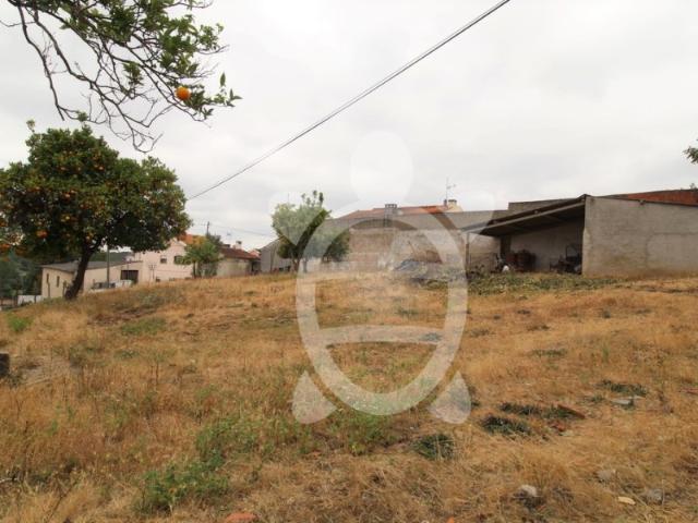 Terreno venda em Condeixa-a-nova, Coimbra