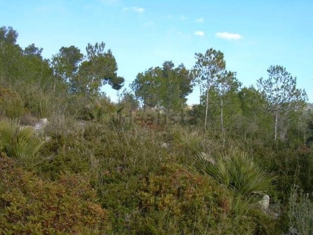 Terreno en venta en Alt Penedès, Catalunya